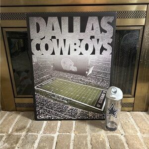 Dallas Cowboys Artis Stadium Canvas and NEW Tervis Dallas Cowboys Tumbler